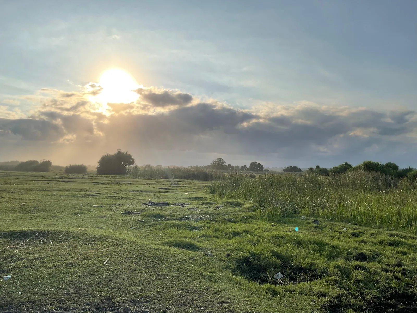 Matahari di atas savana